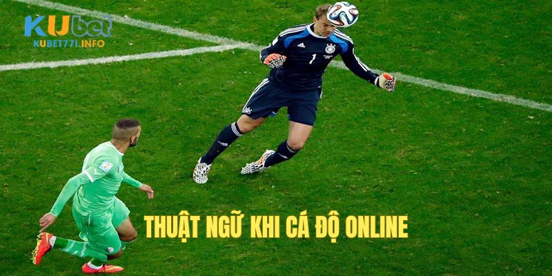 thuat-ngu-ca-do-da-banh-co-ban