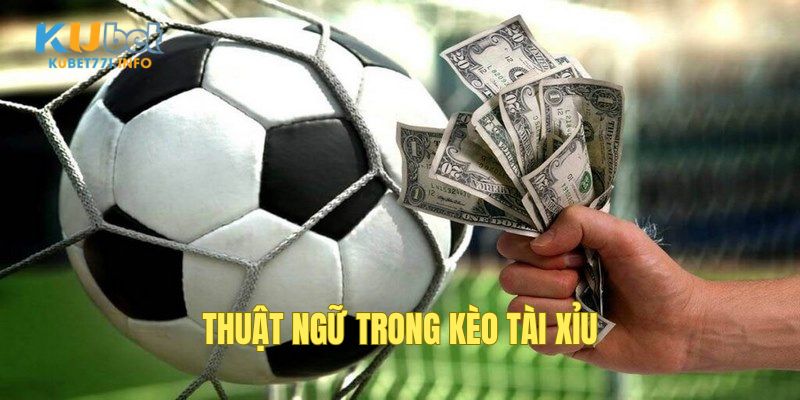 thuat-ngu-ca-do-da-banh-keo-tai-xiu