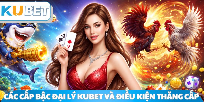 Các cấp bậc đại lý Kubet và điều kiện thăng cấp